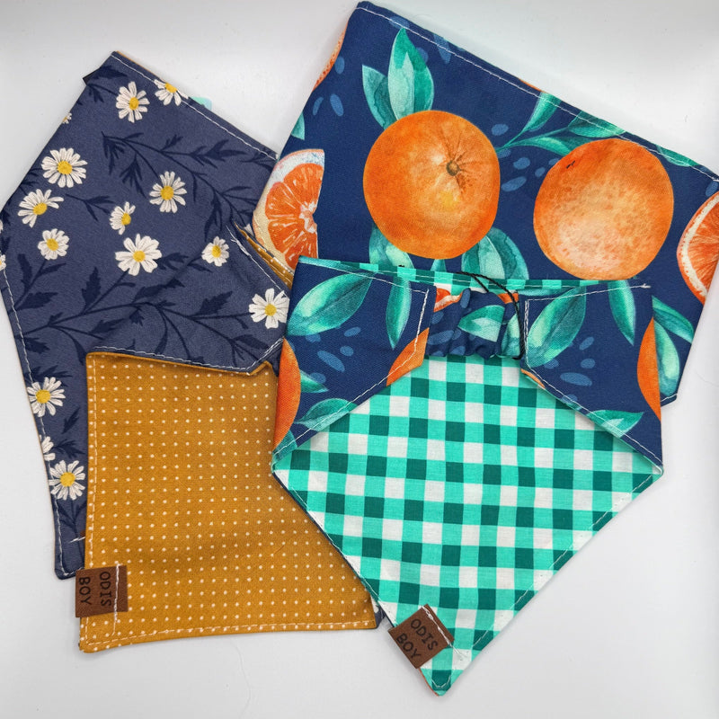 The Winter Collection