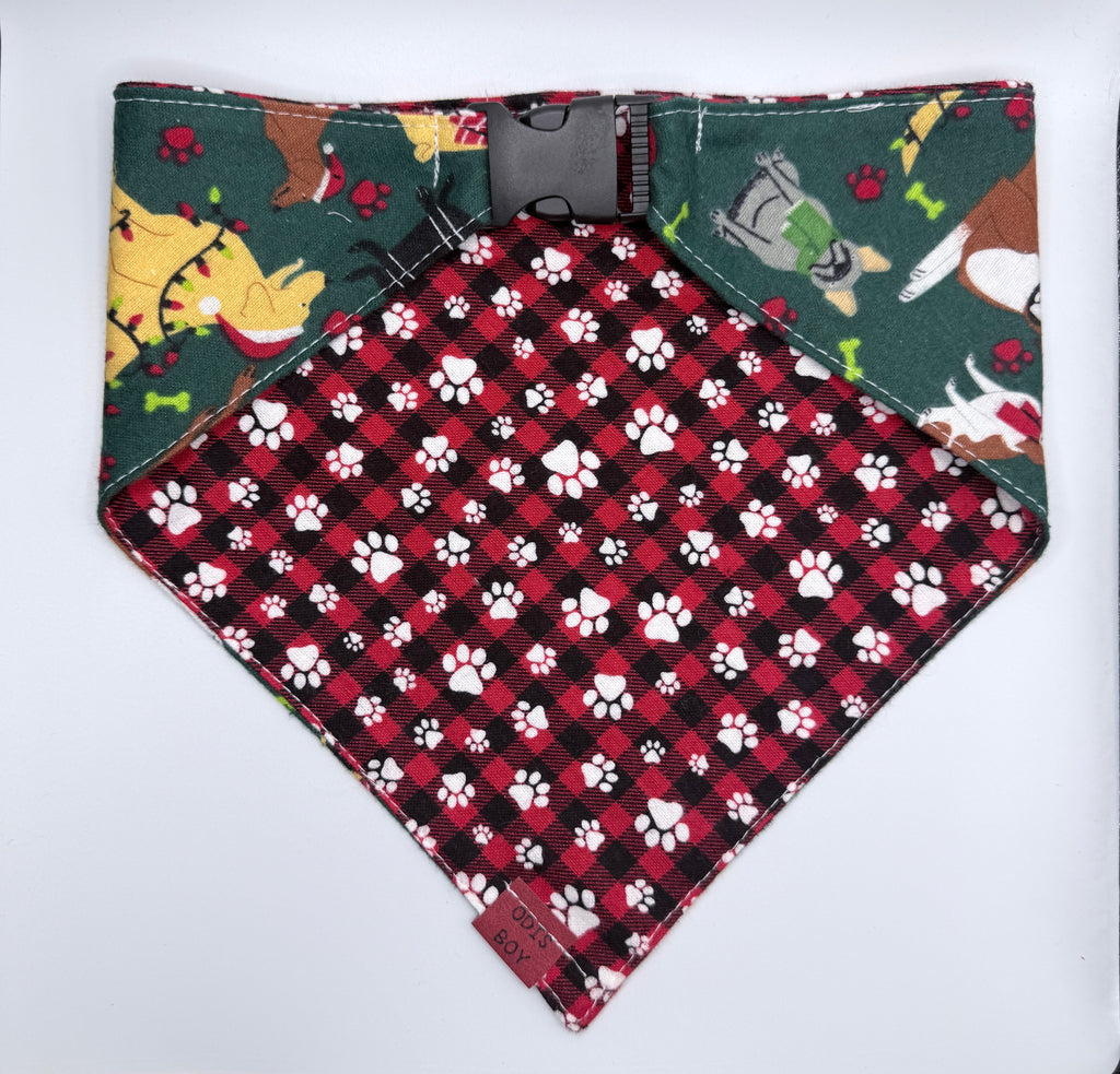 Santa’s Little Sidekick