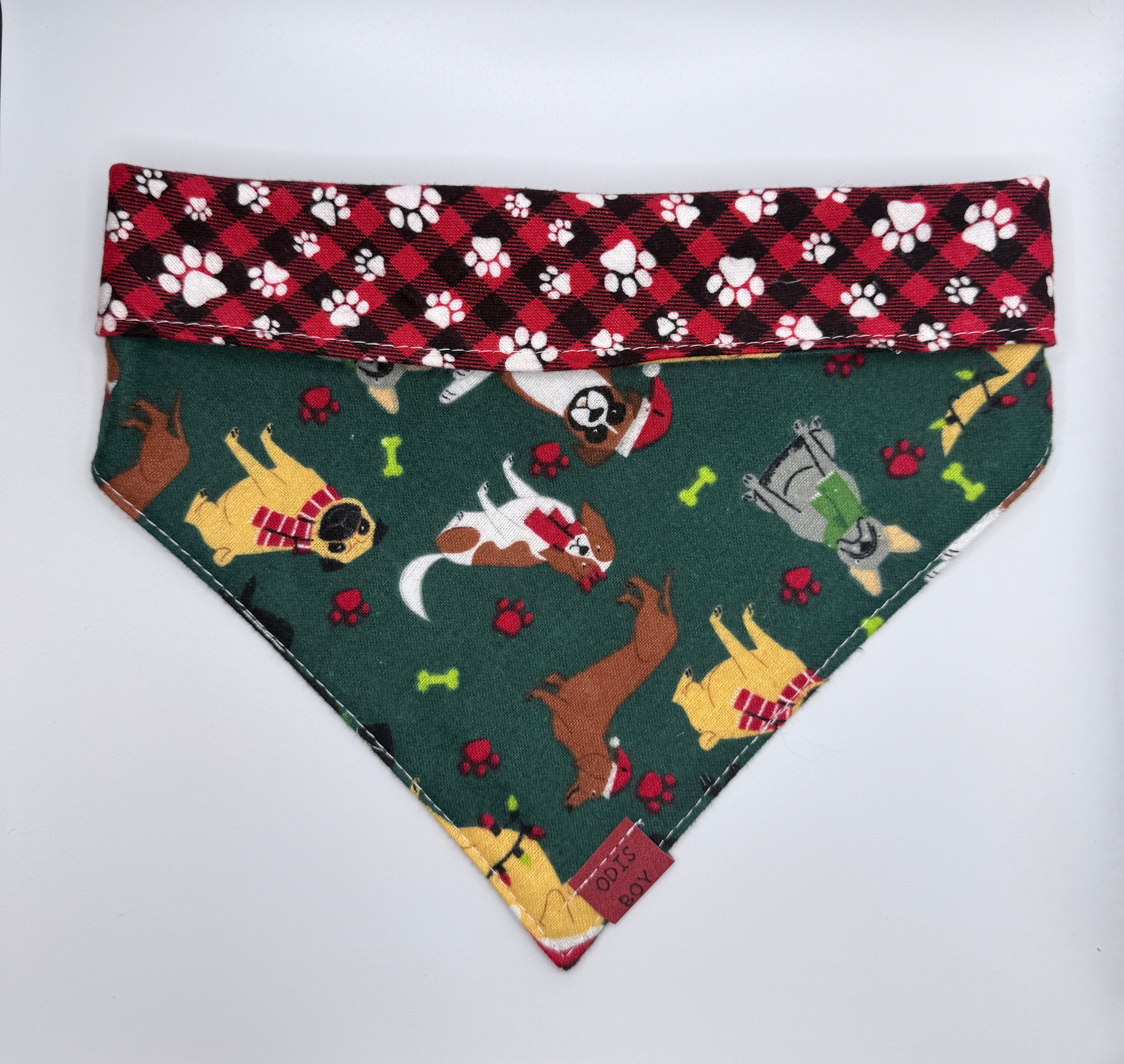 Santa’s Little Sidekick