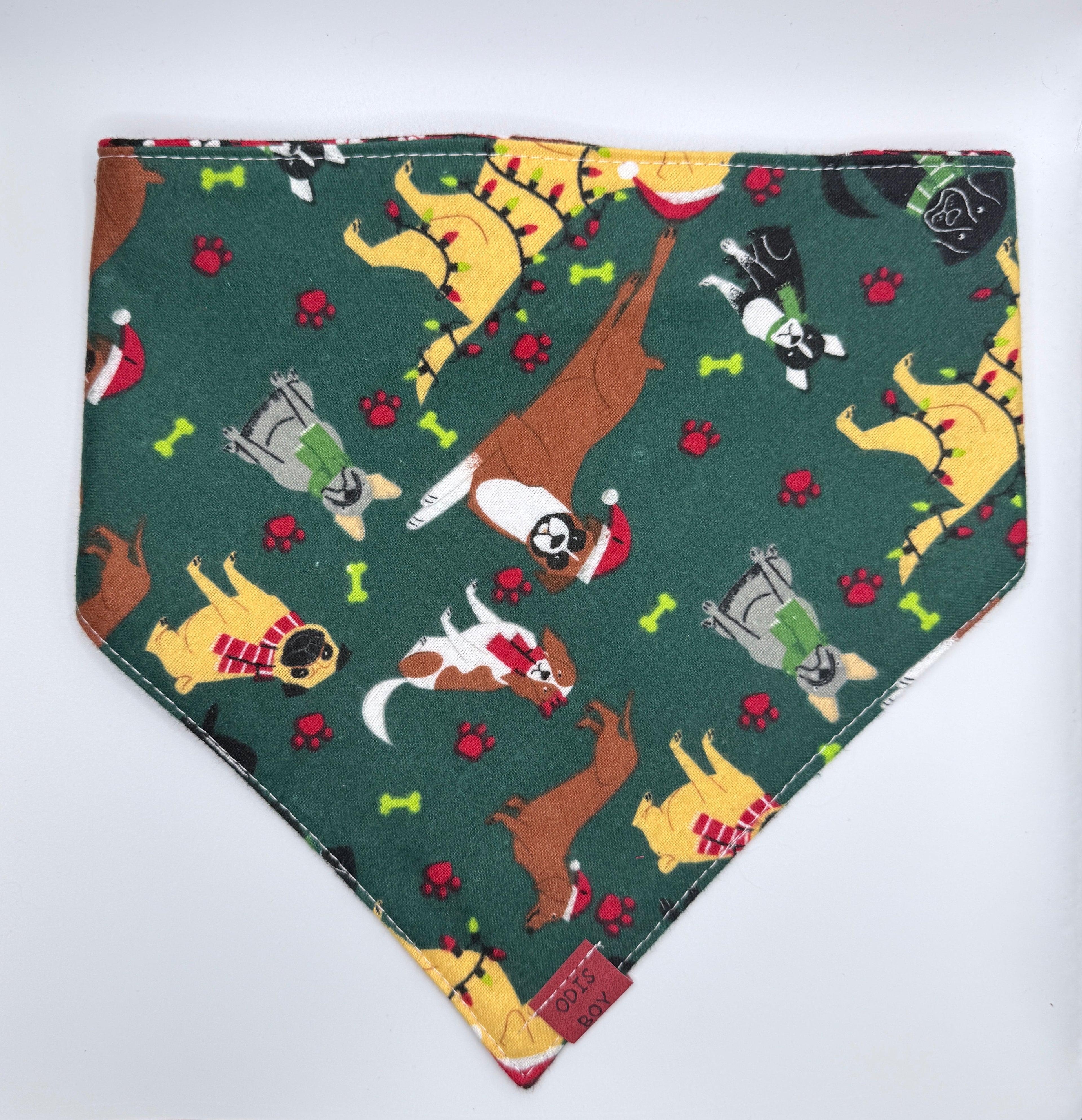 Santa’s Little Sidekick