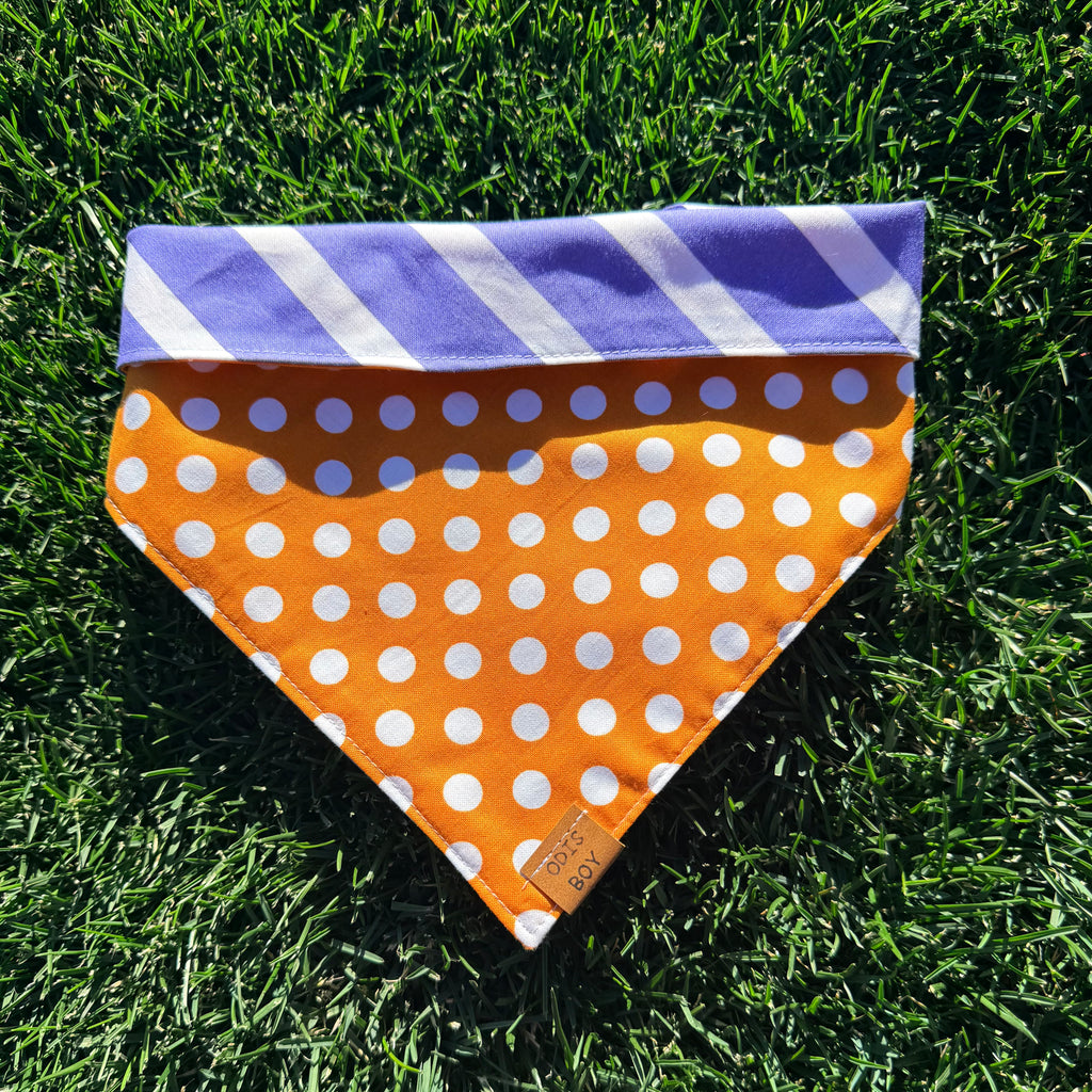 Halloween Dots & Stripes